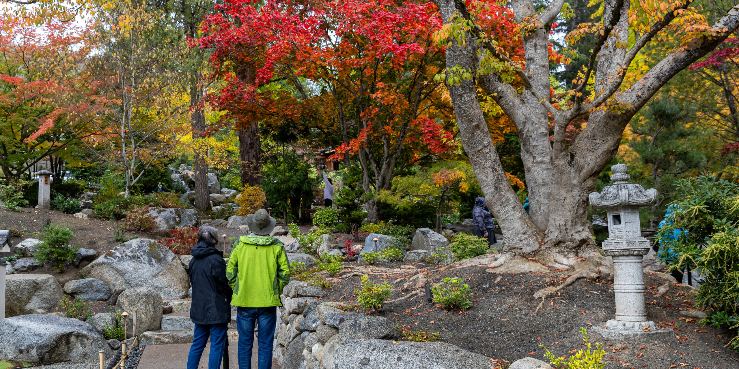 Ashland Japanese Garden, Lithia Park, fall